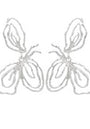 Astra Flower Studs