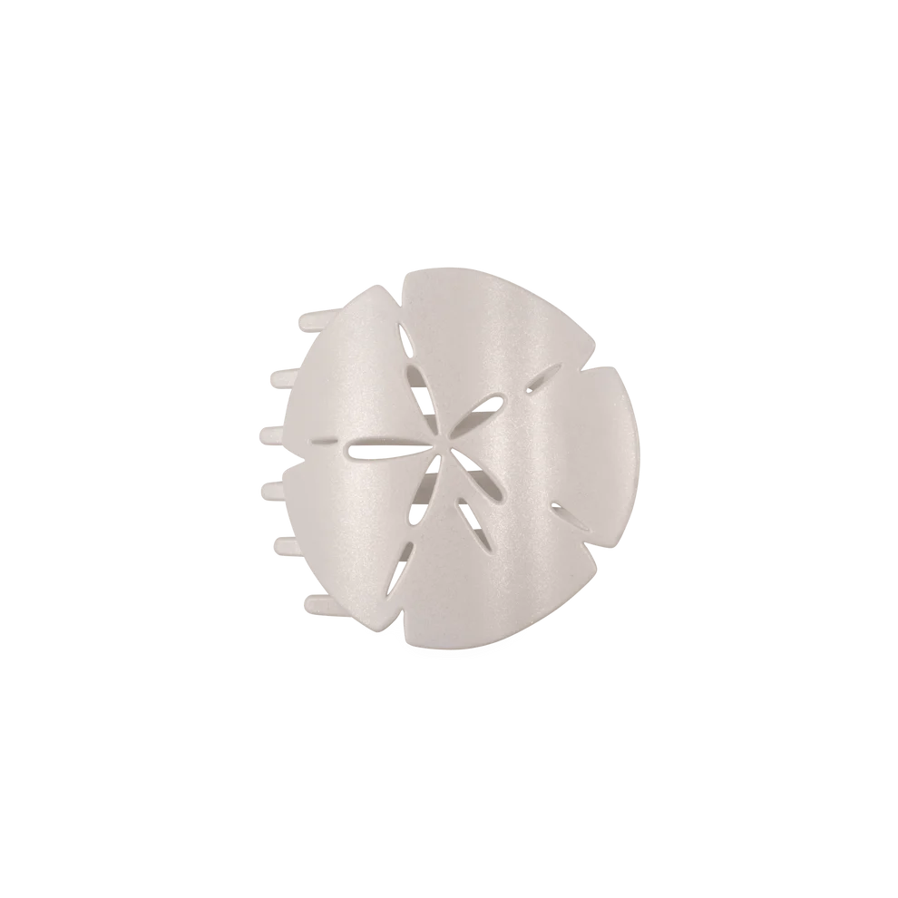Sand Dollar Flat Clip - Medium