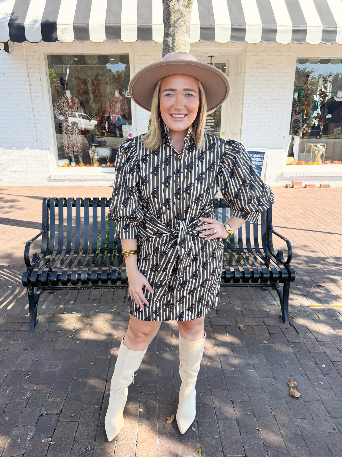 Ruffle Neck Printed Puff Sleeve Stripe Mini Dress in Brown