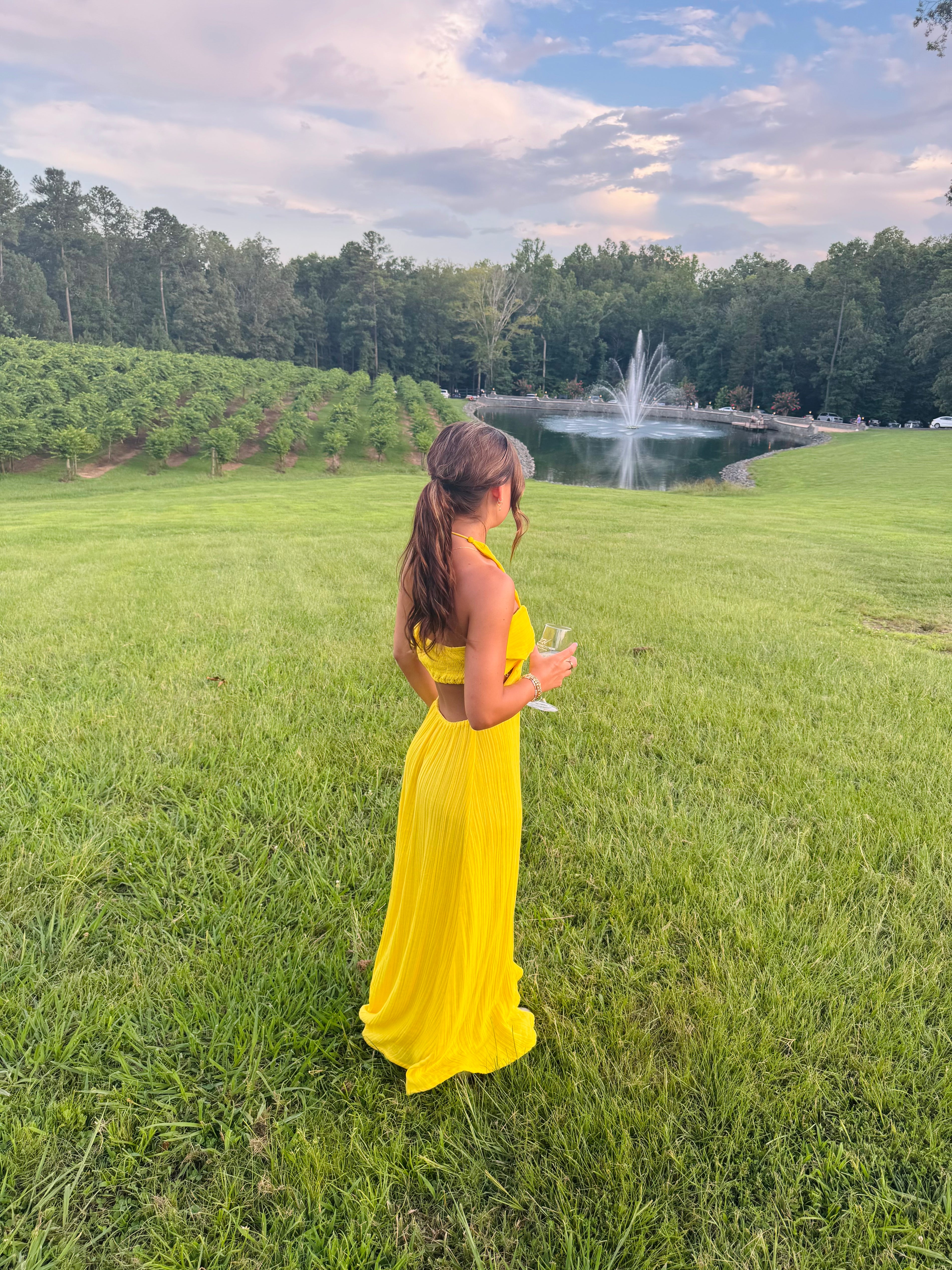 Barbados Dress