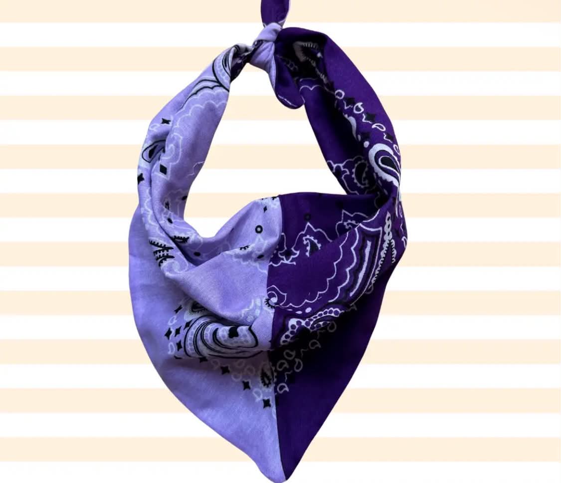 Gameday Colorblock Bandana - Purple/Lavender