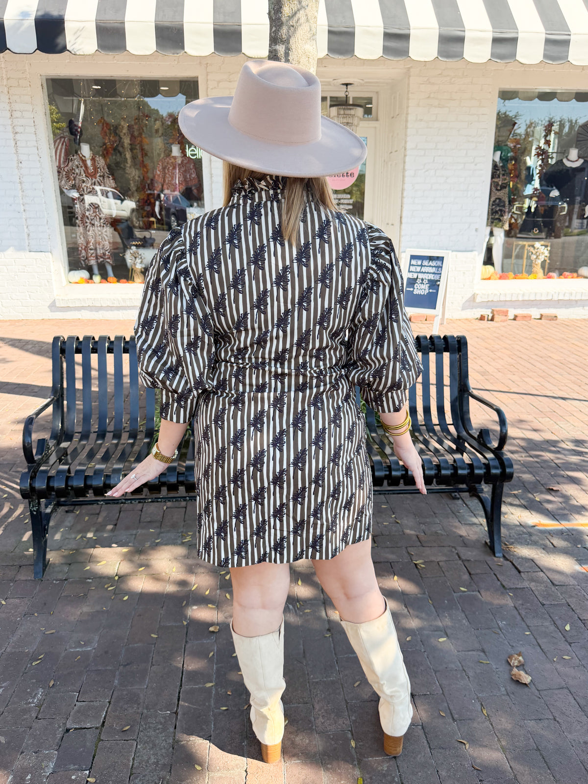 Ruffle Neck Printed Puff Sleeve Stripe Mini Dress in Brown