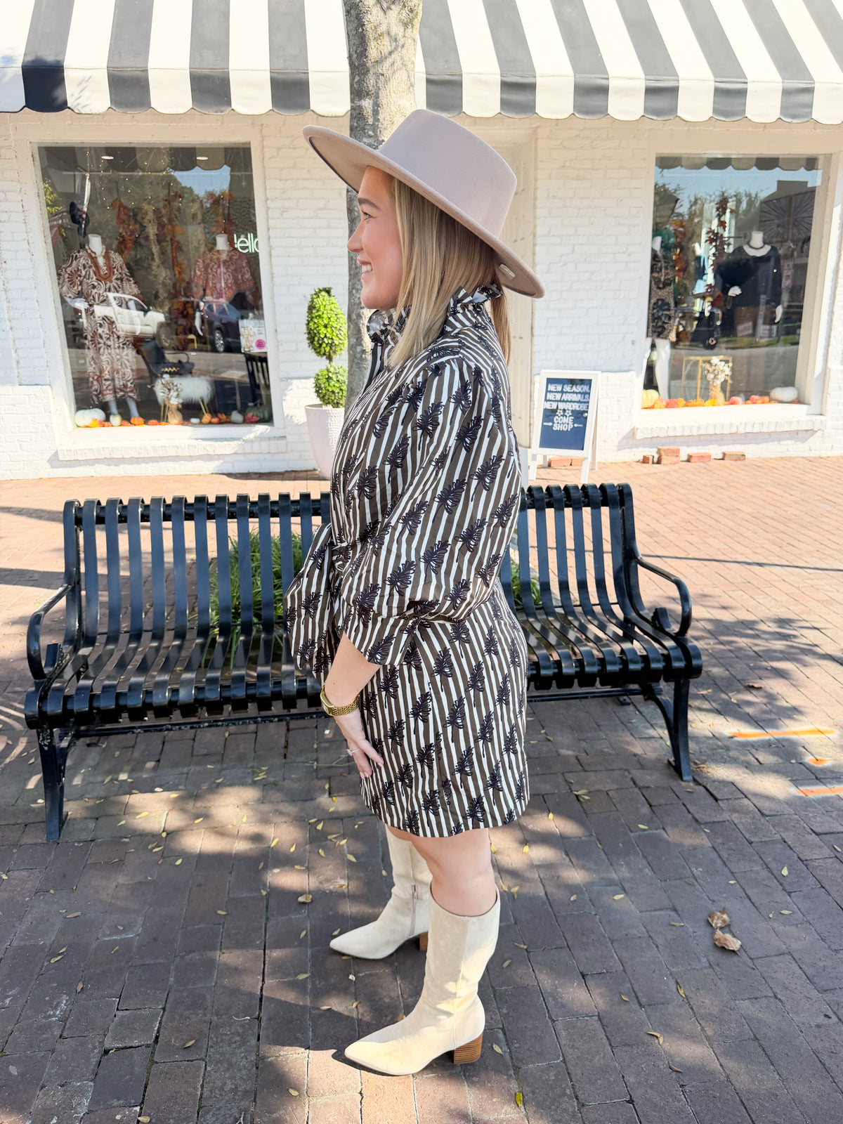Ruffle Neck Printed Puff Sleeve Stripe Mini Dress in Brown