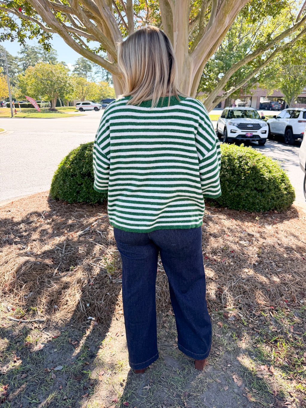 Wool Short Sleeve Striped Button Up Sweater in Dark Green