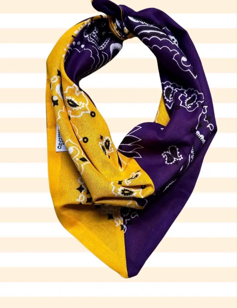 Gameday Colorblock Bandana - Purple/Gold