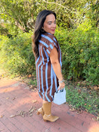 Klein Striped Shift Dress in Blue/Brown