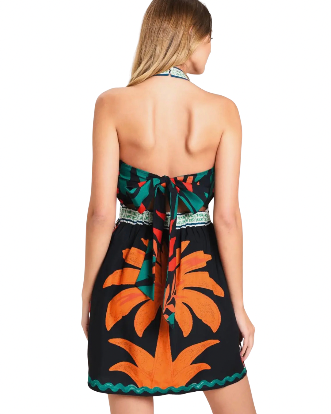 Brazilian Nights Mini Dress